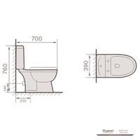 YS22210P Toaletă ceramică din 2 piese, toaletă cu sifon cu sifon în P cuplată;