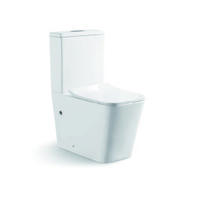 YS22251P Toaletă ceramică fără margine din 2 piese, toaletă cu capcană P;