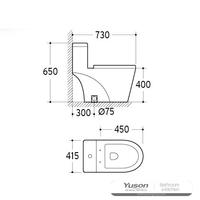 YS24284 Toaletă ceramică dintr-o bucată, sifonică;